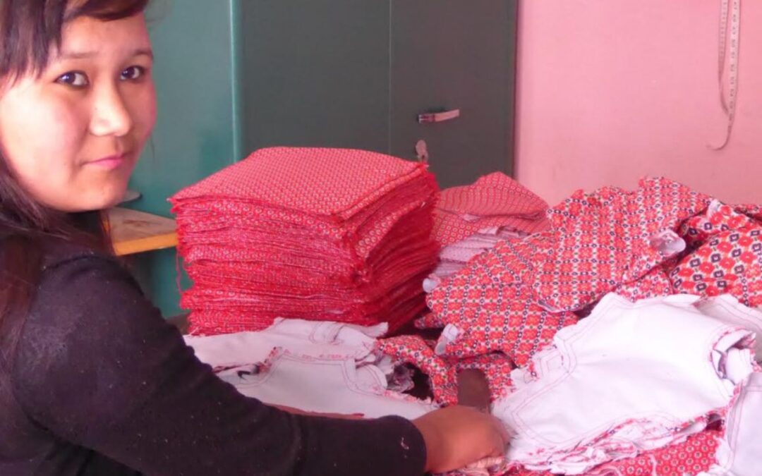 Washable Sanitary Pads